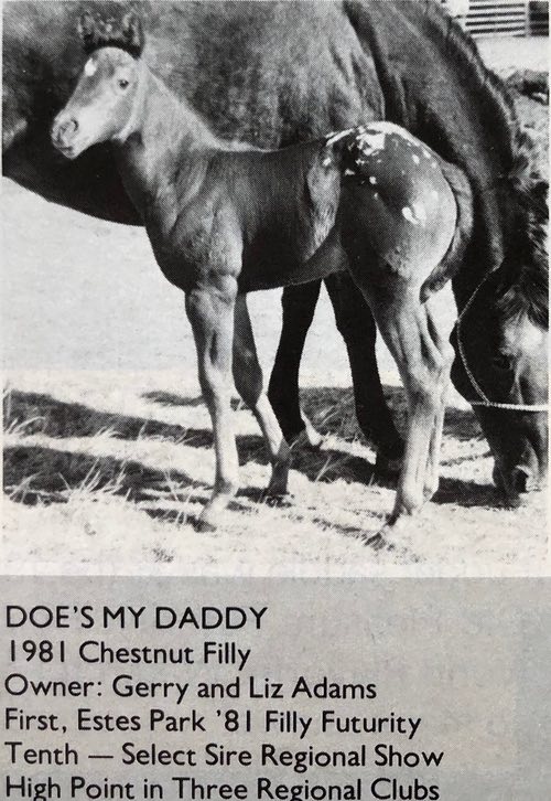 does my daddy