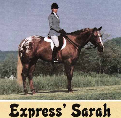 expresssarah