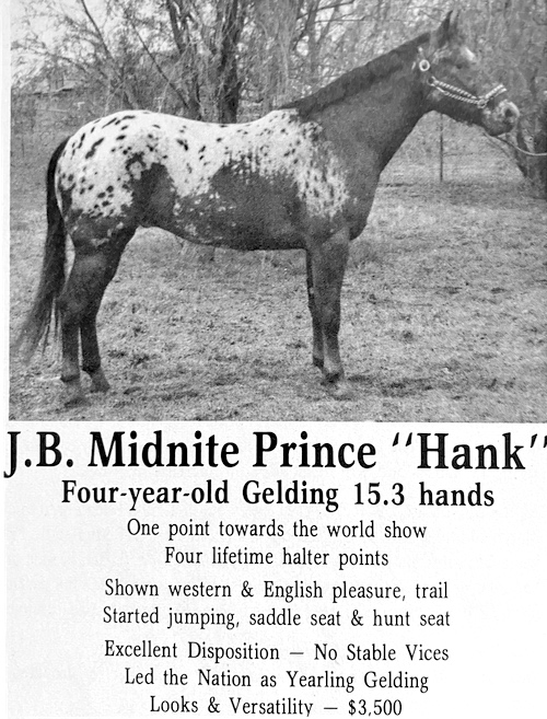 jb midnite prince hank