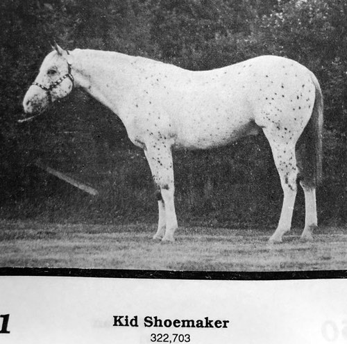 kid shoemaker