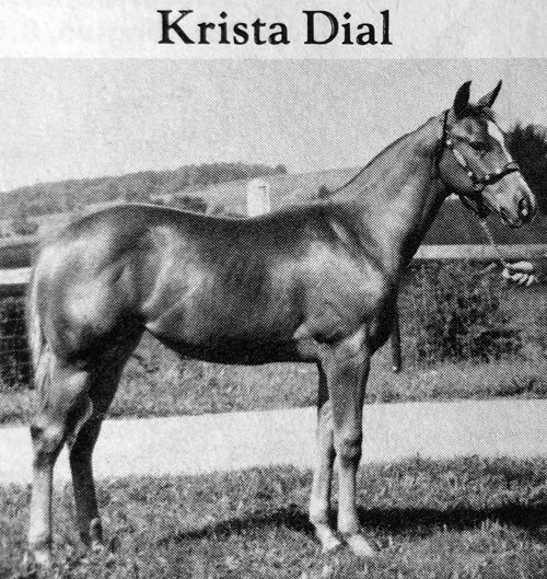 krista dial