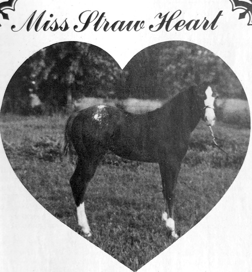 miss straw heart