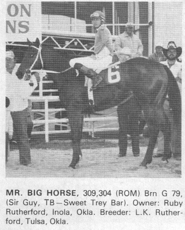 mrbighorse