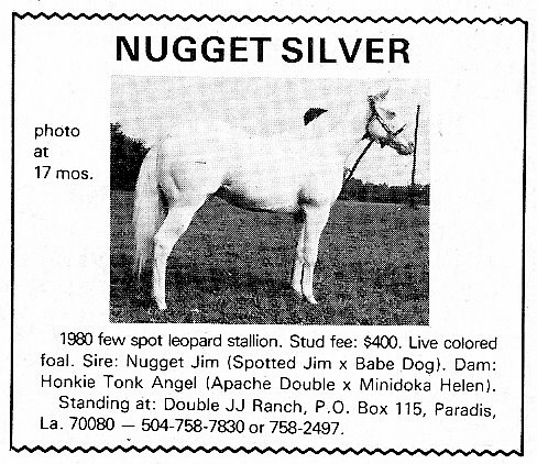 nuggetsilver