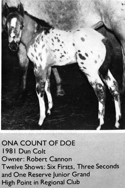 ona count of doe