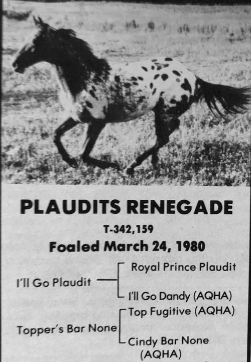 plaudits renegade