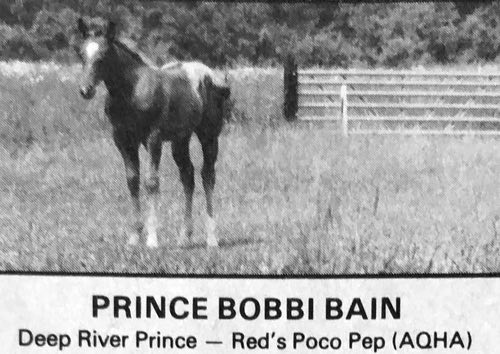 prince bobbi bain and princes goldene