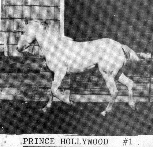 princehollywood