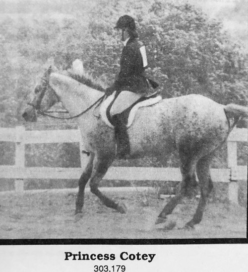 princess cotey