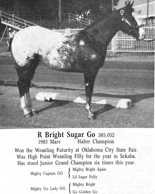 r bright sugar go