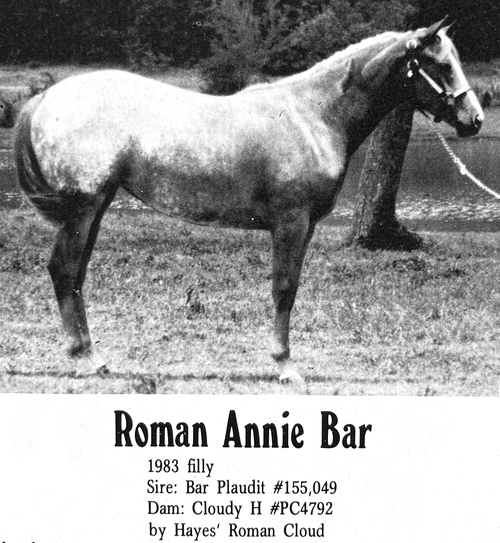 ropman annie bar