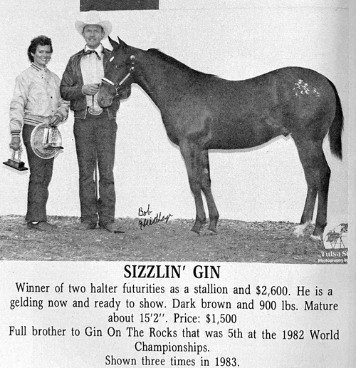 sizzlin gin