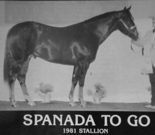 spanadatogo