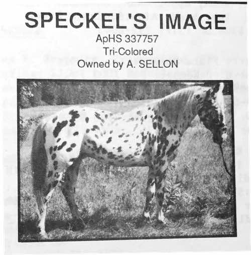 speckelsimage