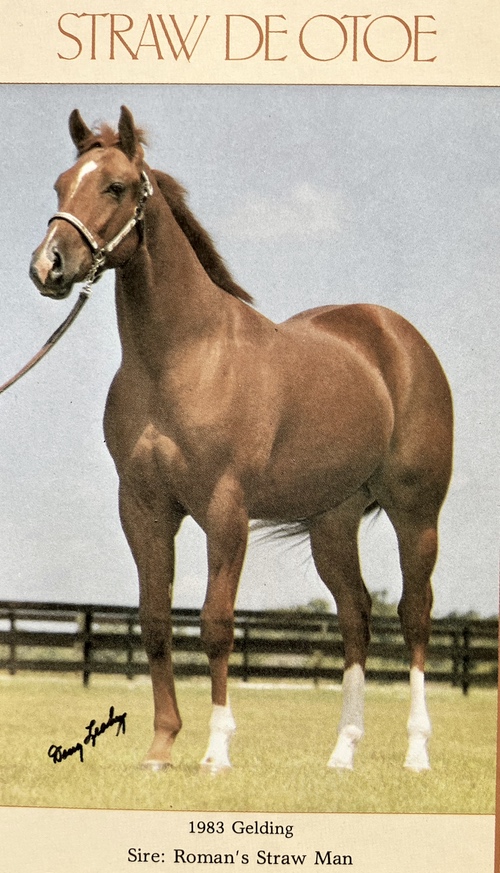 straw de oyoe