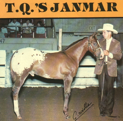 tqsjanmar