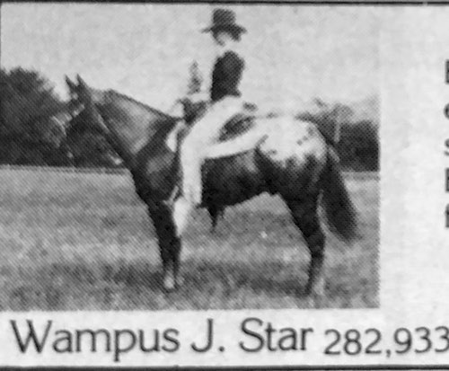 wampus j star