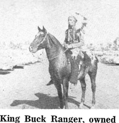 KingBuckRanger