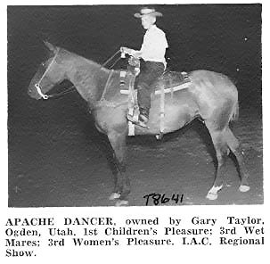 apachedancer8641