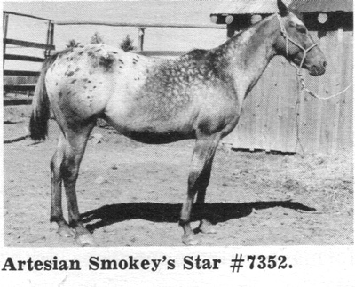 artesiansmokeysstar7352