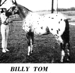 billytom2