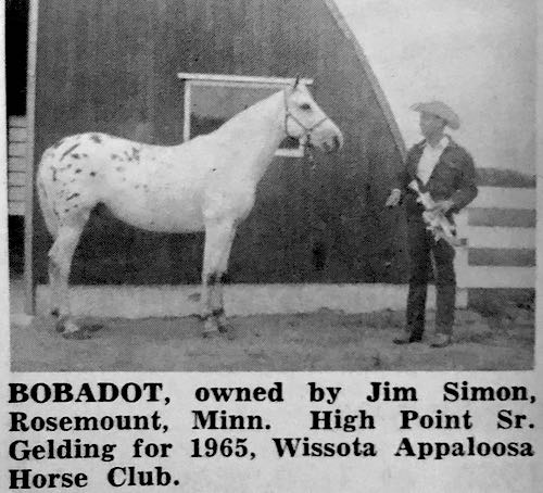 bobadot