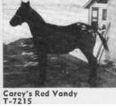 careysredvandy7215