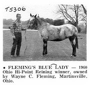 flemingsbluelady5306