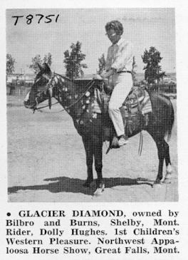 glacierdiamonf8751