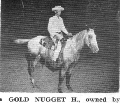 goldnuggetht4328