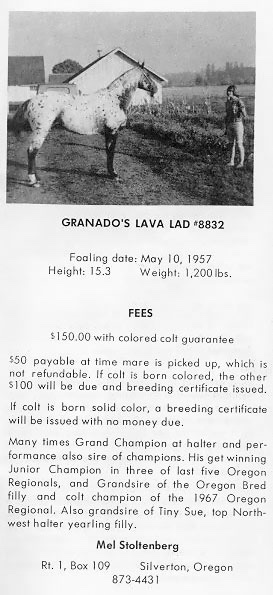 granadoslavaladd8832