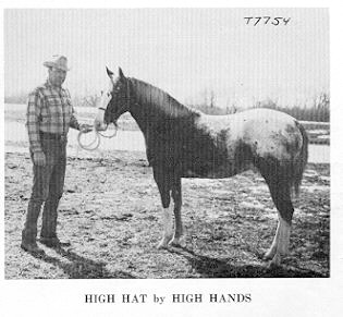 highhat7754