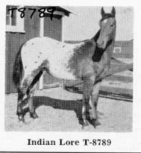 indianlore8789