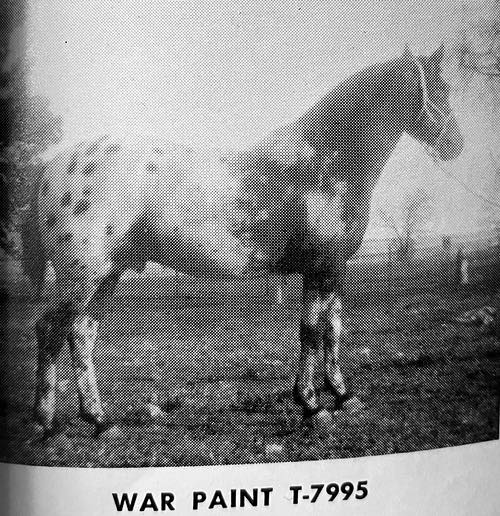 war paint
