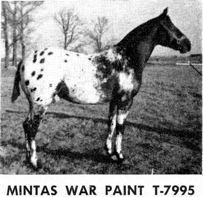 mintaswarpaint7995