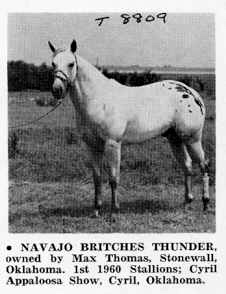 navajobritchesthunder8809