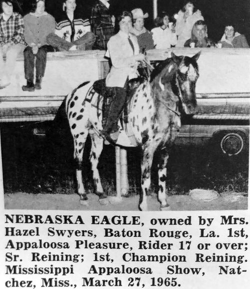 nebraskaeagle8592