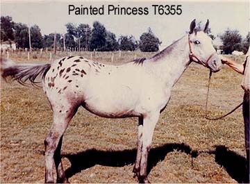 paintedprincess6355