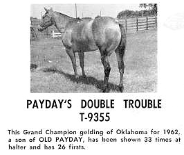 paydaysdoubletrouble9355