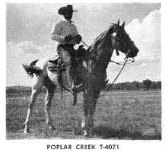 poplarcreekt4071