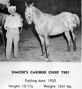 simcoe'scariboochief7901a