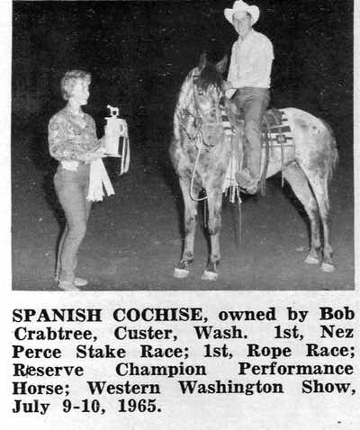 spanishcochise5543