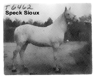 specksioux6462