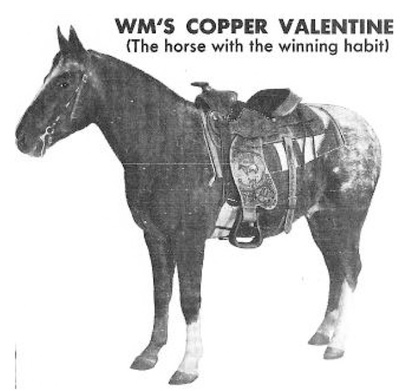 wmscoppervalentine9729