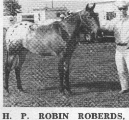 hprobonroberds