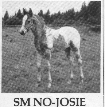 smnojosie