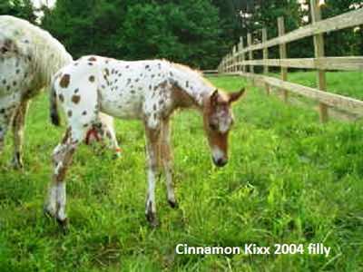 cinnamonkixx