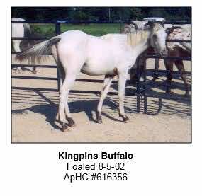 kingpinsbuffalo