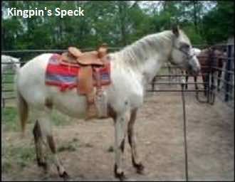 kingpinsspeck2
