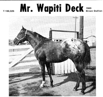 mrwapitideck